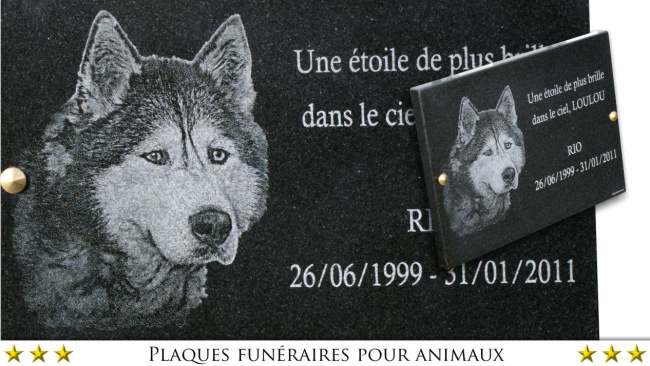 memorial plaque for dog grave