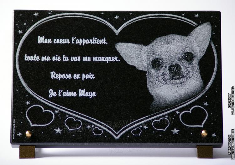 Plaque for dog grave and pets
