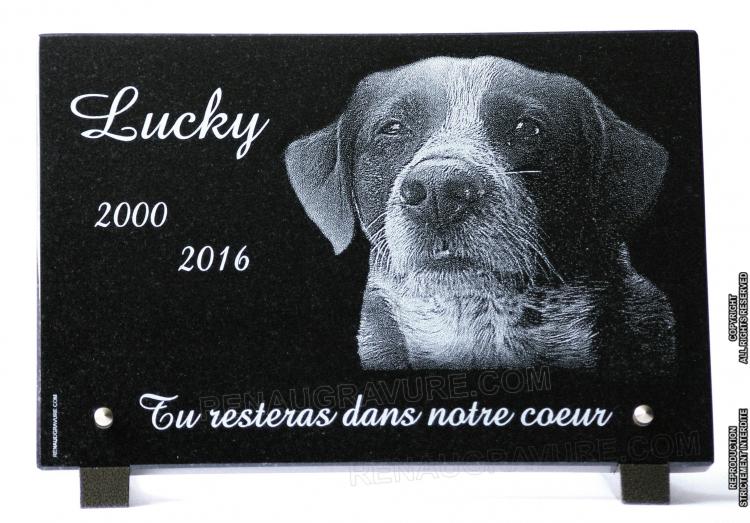 dog grave plaque